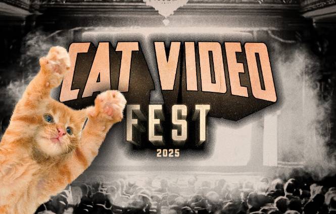 Cat Video Fest 2025