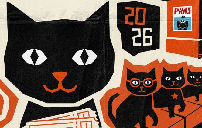 CatVideoFest 2026