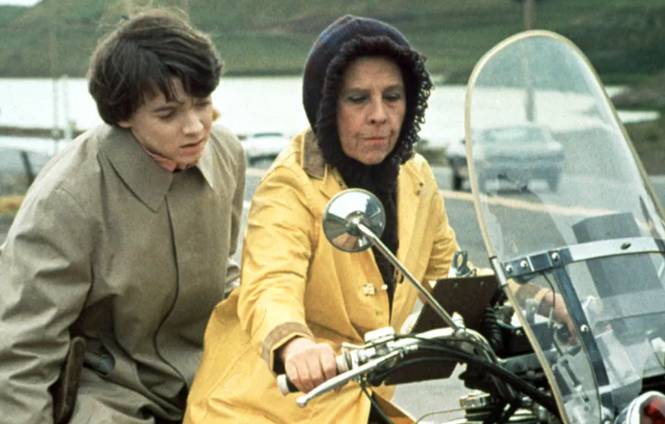 Harold and Maude w/ Live Cat Stevens Music by Avi Jacob