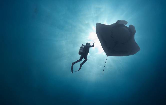 The Last Dive