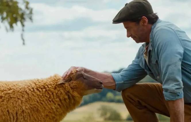 The Sheep Detectives